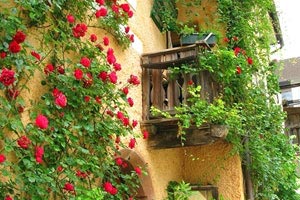 欢迎在宝塔面板安装Z-BlogPHP！