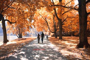 欢迎在宝塔面板安装Z-BlogPHP！